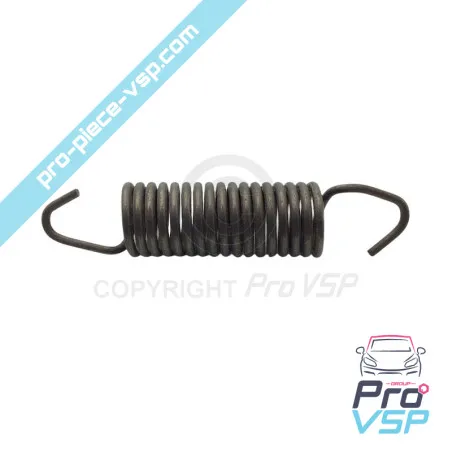 Mola de controle do motor Lombardini 6LD325