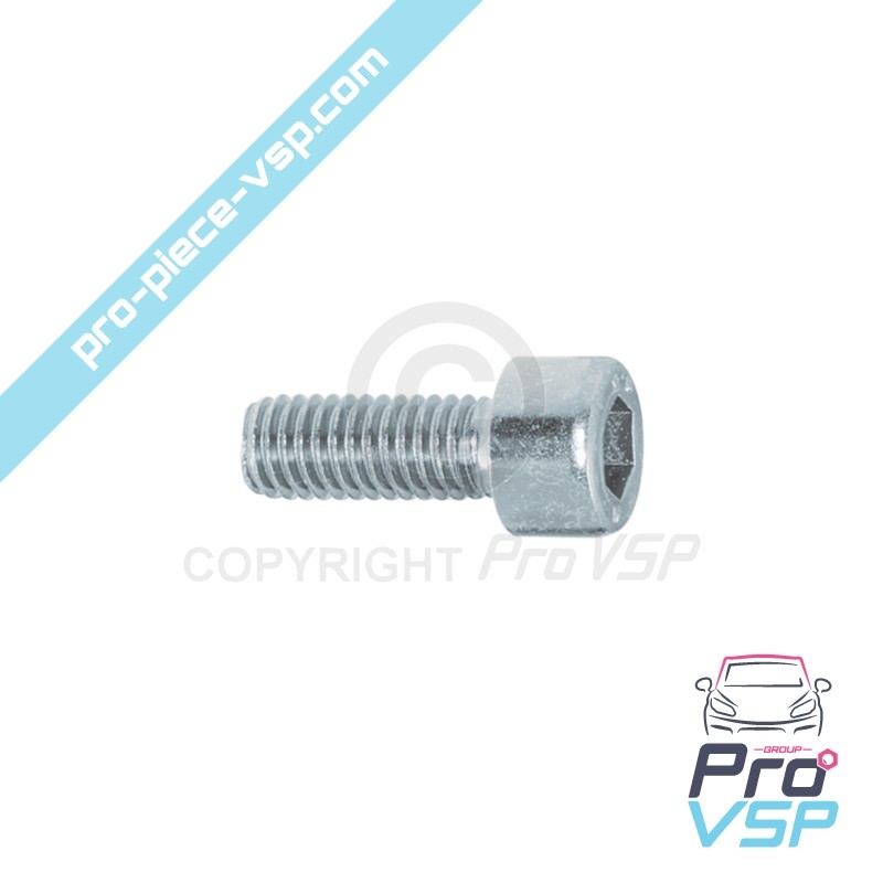 M6 x 20 screw