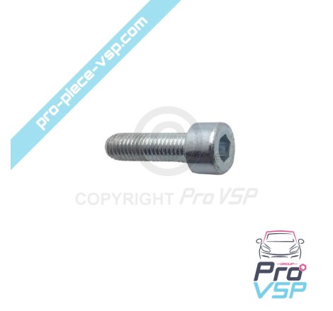 Air filter collar screw