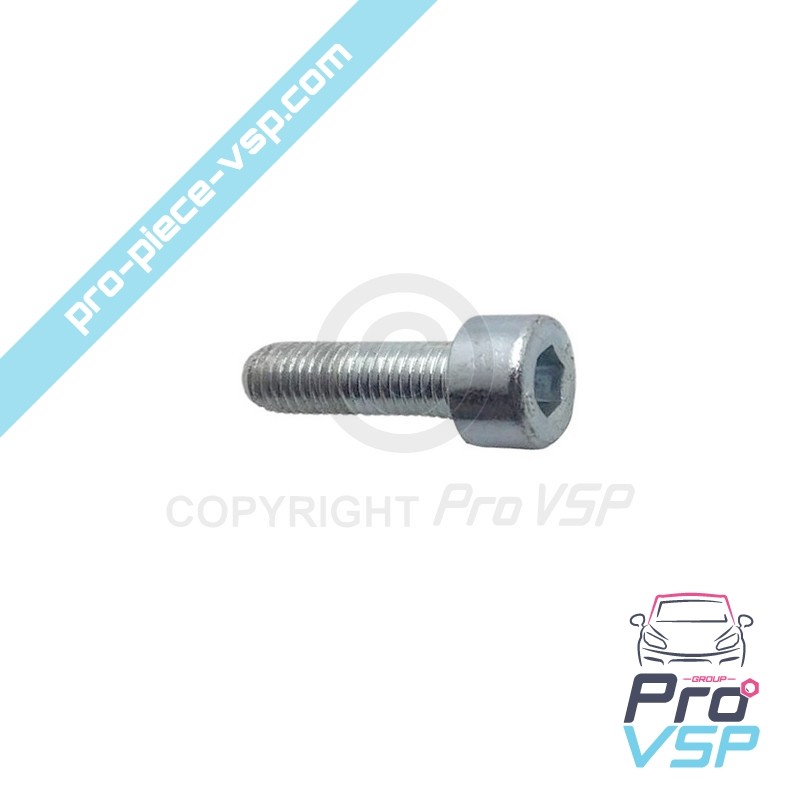 Air filter collar screw