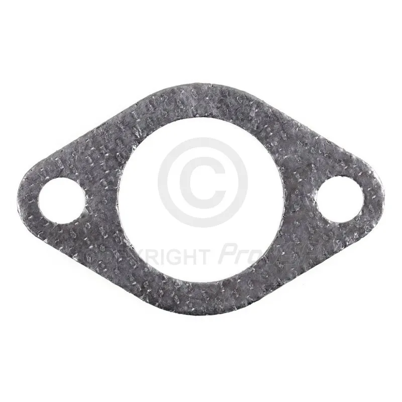Joint d'échappement en graphite pour moteur Lombardini Focs Progress