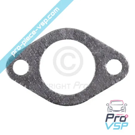 Motor graphite exhaust gasket Lombardini Focs Progress