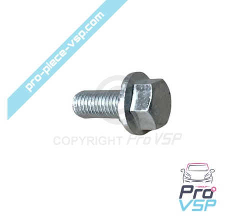 Starter support screw