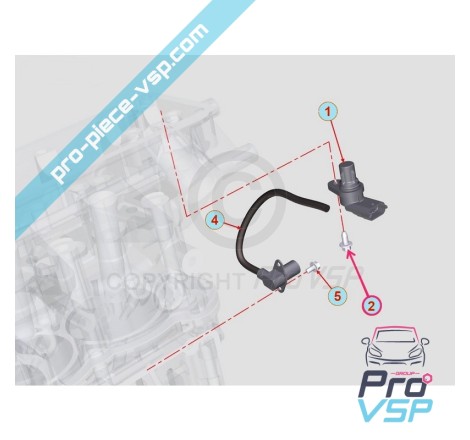 Phase sensor screw