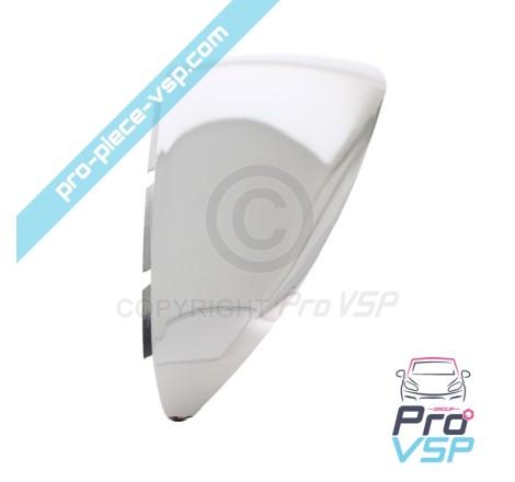Chrome Case of Right Mirror