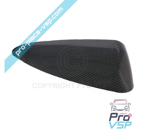 Carbon Case of Right Mirror