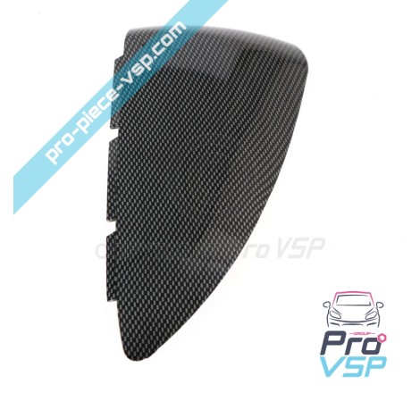 Carbon Case of Right Mirror