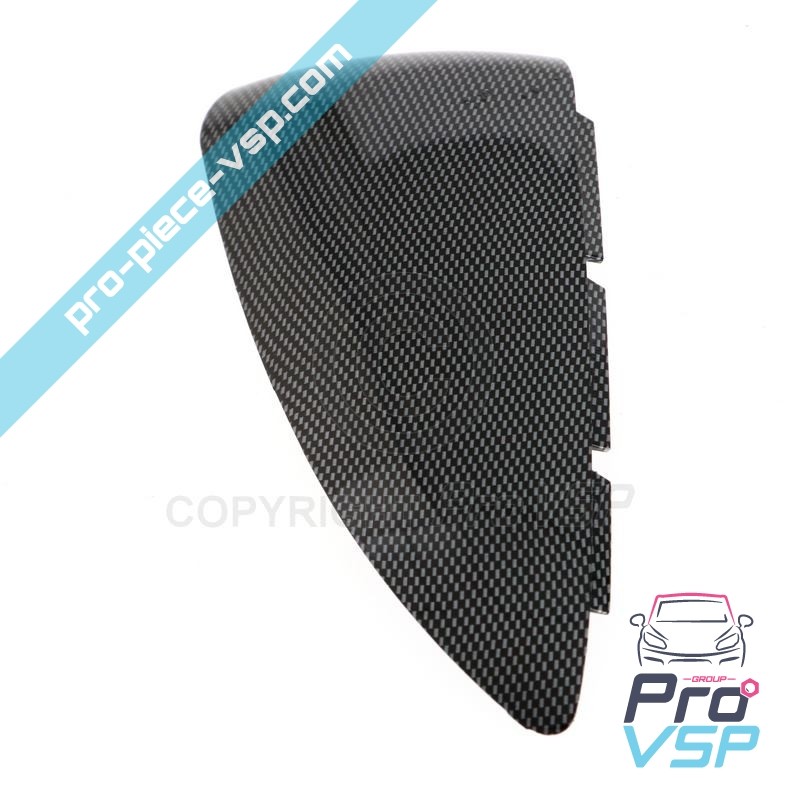 Carbon Case of Left Mirror