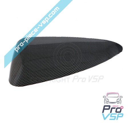 Carbon Case of Left Mirror