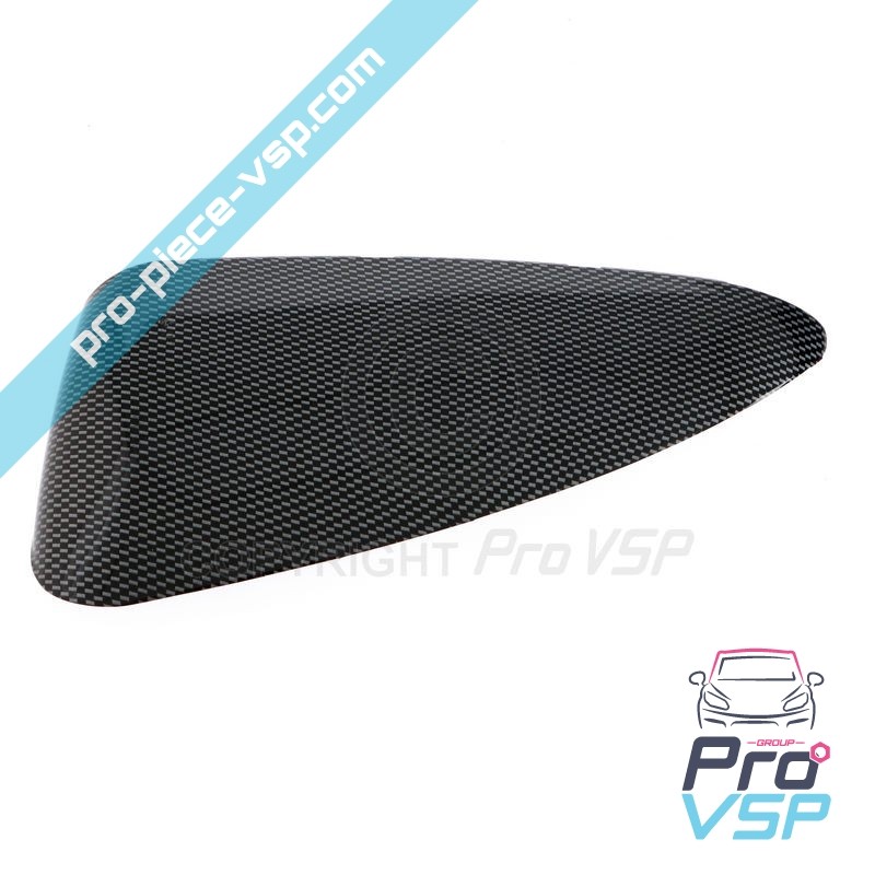 Carbon Case of Left Mirror