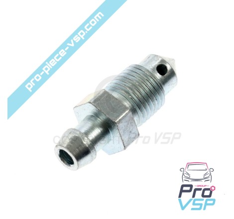 Brake caliper purge screw