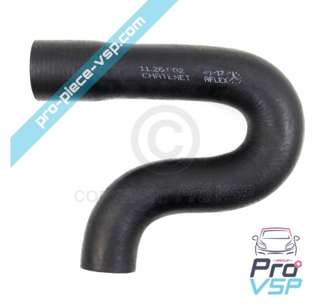Radiator superior hose
