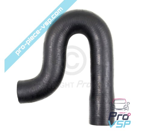 Radiator superior hose