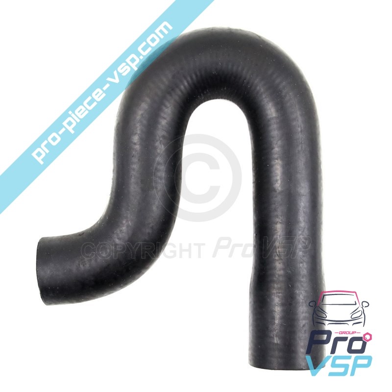 Radiator superior hose