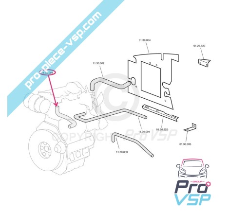 Lower radiator durite