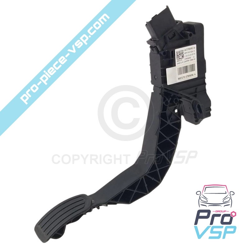 Accelerator Pedal + Potenziometro