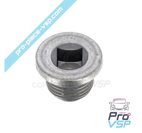 Reducer drain plug