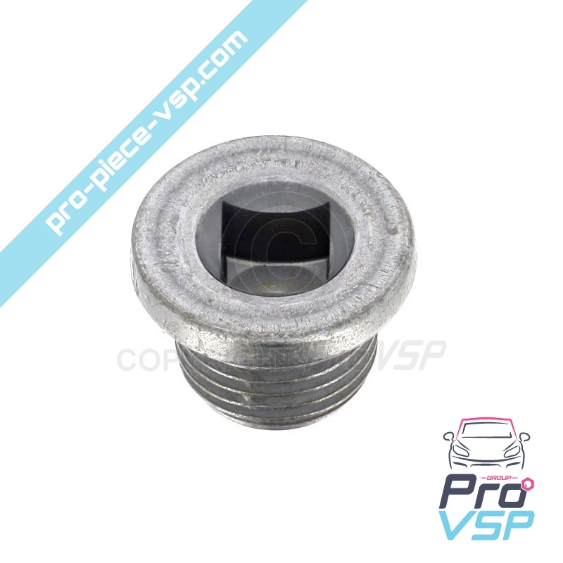 Reducer drain plug
