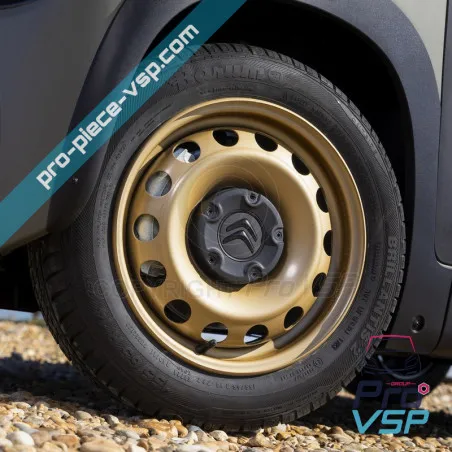 Borda de chapa metálica para Citroën Ami Buggy