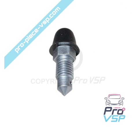 Purge screw brake caliper before