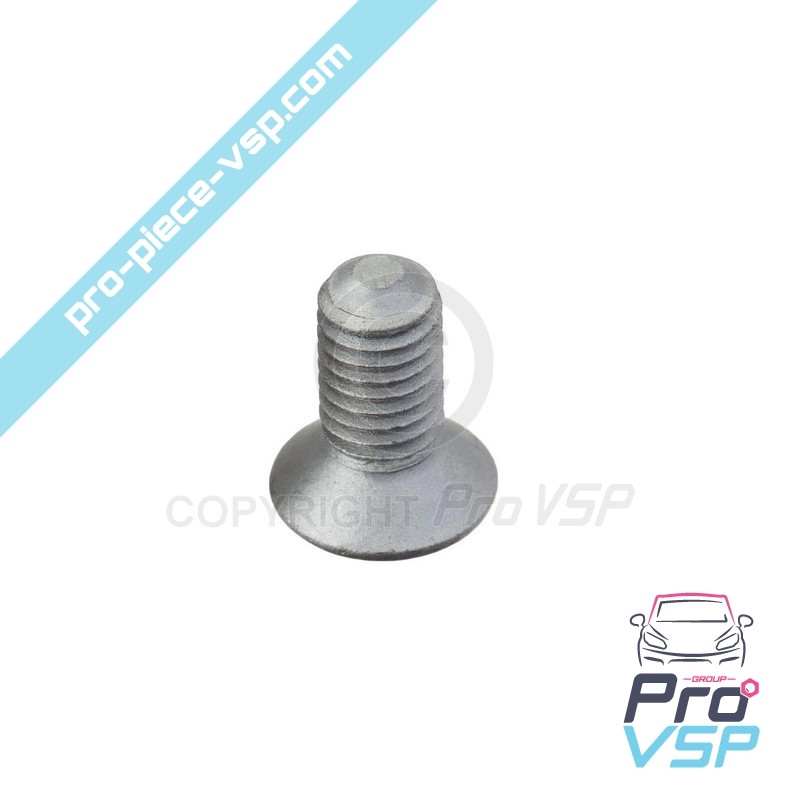 Front brake disc screw