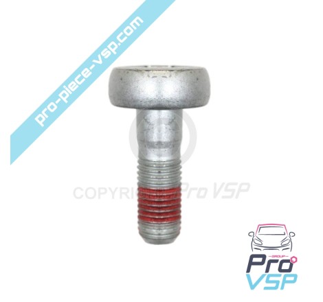 Front brake caliper screw