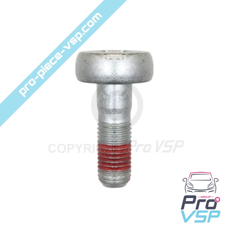Front brake caliper screw