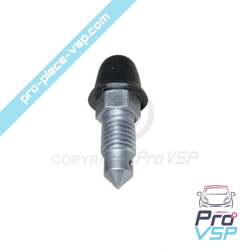 Wheel cylinder bleed screw