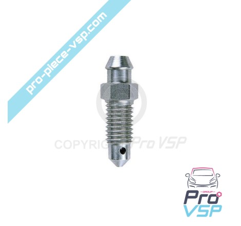 Wheel cylinder purge screw