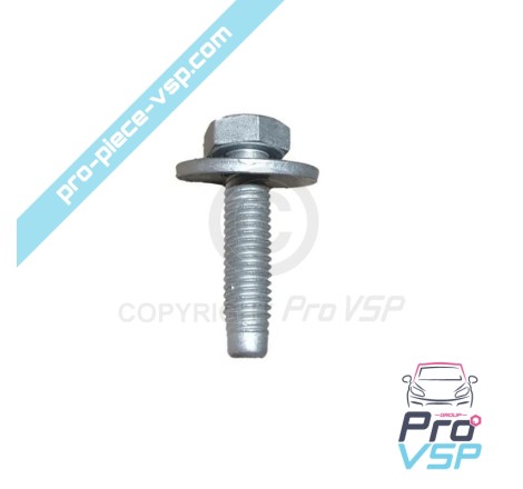 Body screw