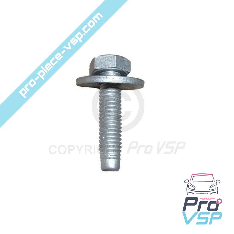 Body screw