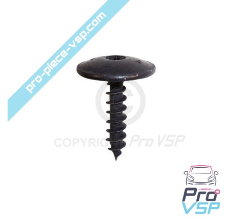 Body screw