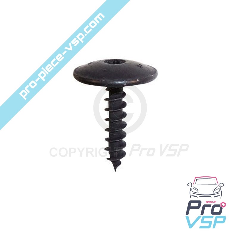 Body screw