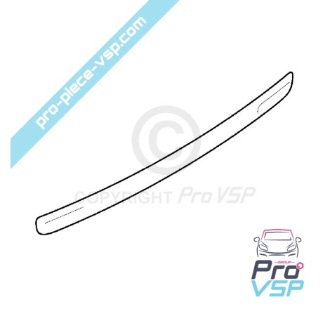 Rear bumper baguette