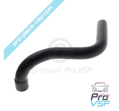 Radiator superior hose