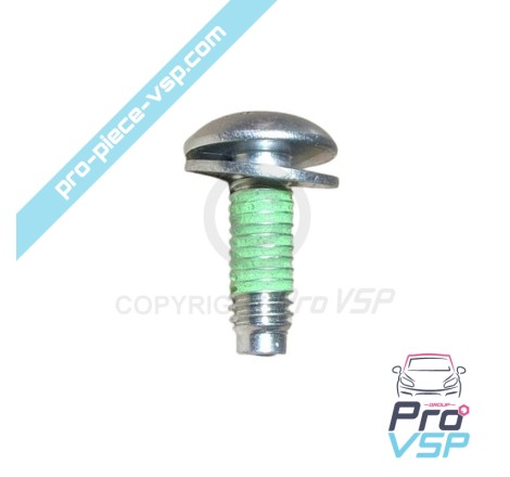 Body screw