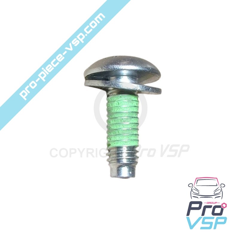 Body screw