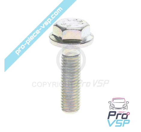 Alternator fixing screw