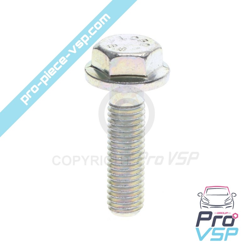 Alternator fixing screw