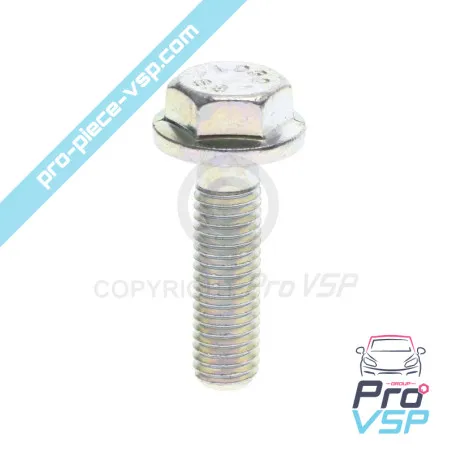 Engine alternator mounting screw Lombardini DCI