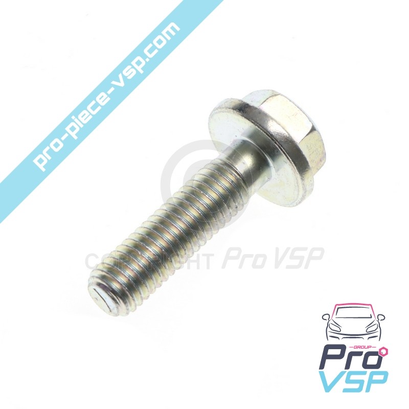 Alternator fixing screw