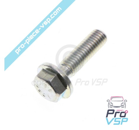 Alternator fixing screw