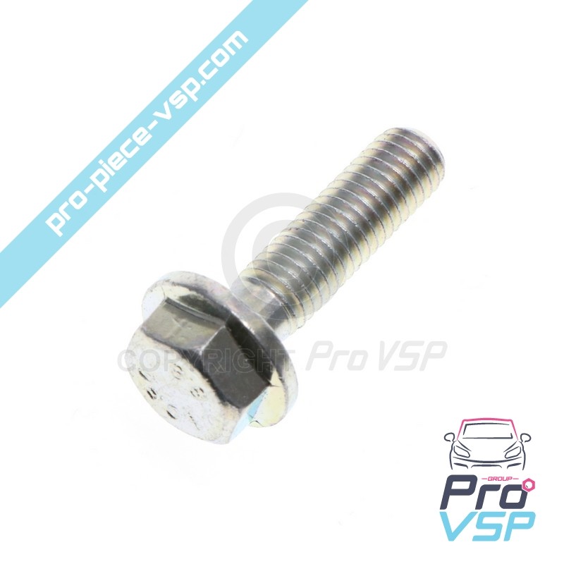 Alternator fixation screws