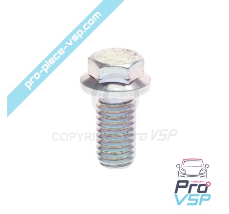 Air filter support screw