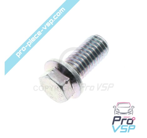 Air filter support screw