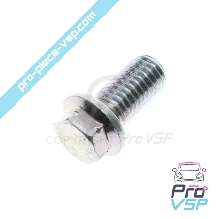 Vis de support de filtre à air pour moteur Lombardini DCI