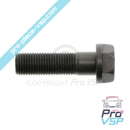 Engine crankshaft screw Lombardini DCI