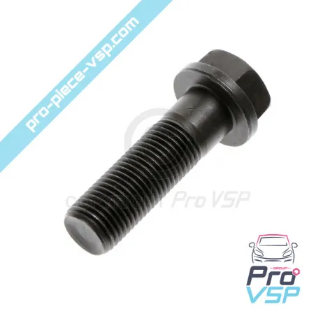 Vis de vilebrequin pour moteur Lombardini DCI