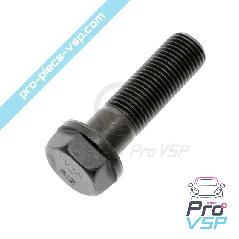 Engine crankshaft screw Lombardini DCI