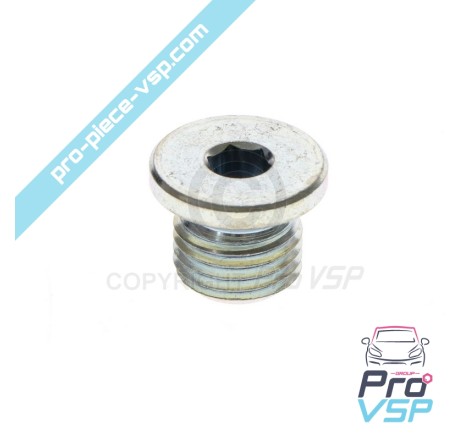 Engine block cap
